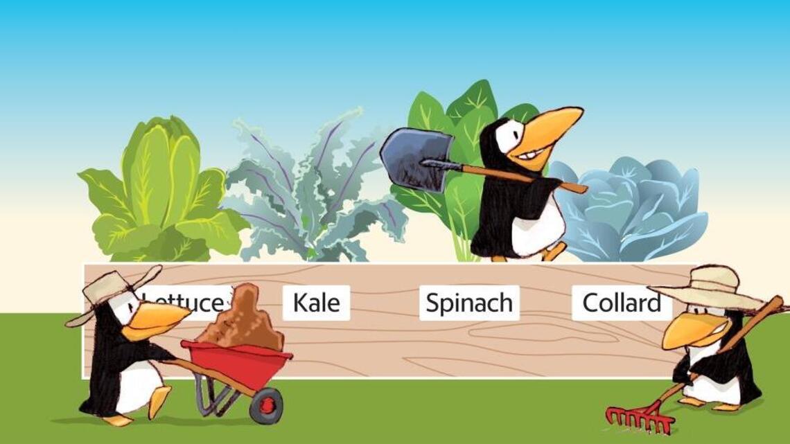 The earliest garden produce is greens, and it’s time to plan for them