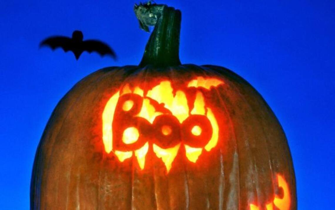 Veteran pumpkin carvers offer advice