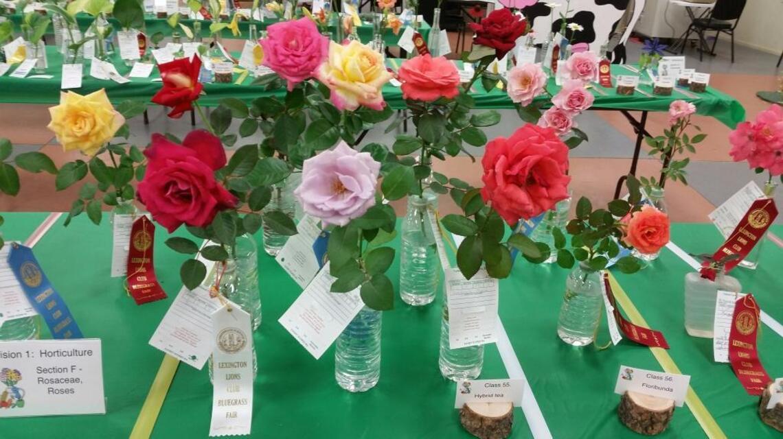 Take your plants to the Bluegrass Fair, but know the rules