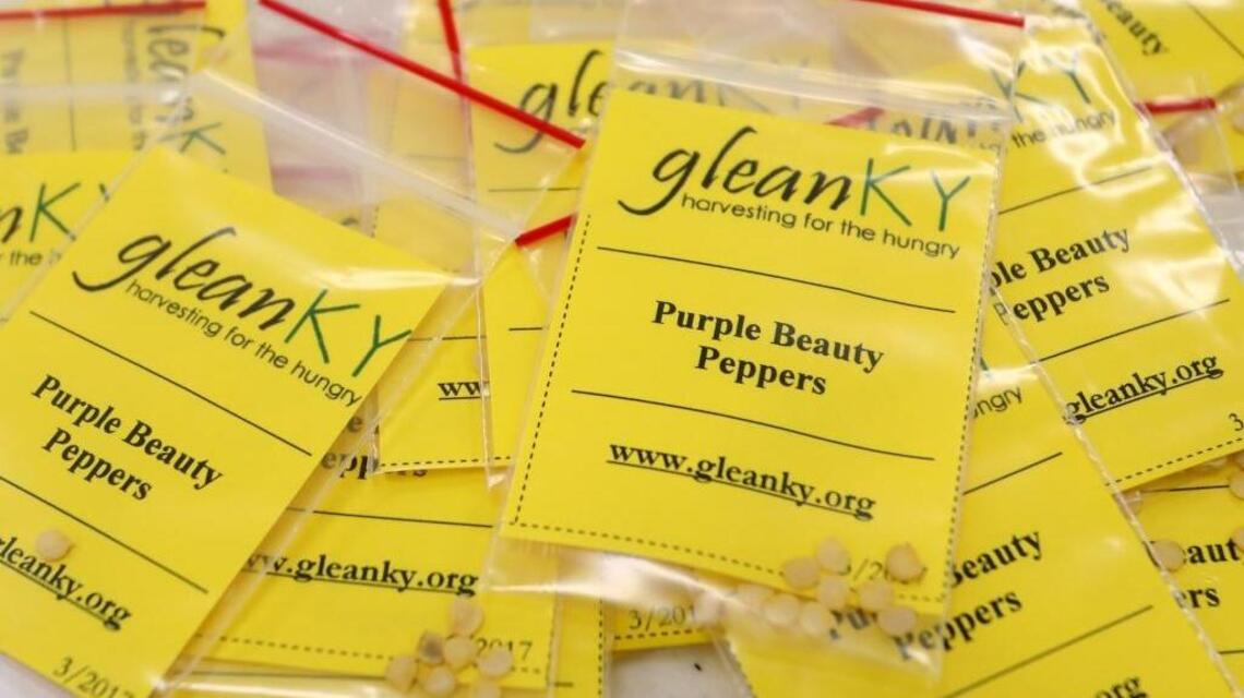 GleanKy volunteers package seeds to make their organization grow