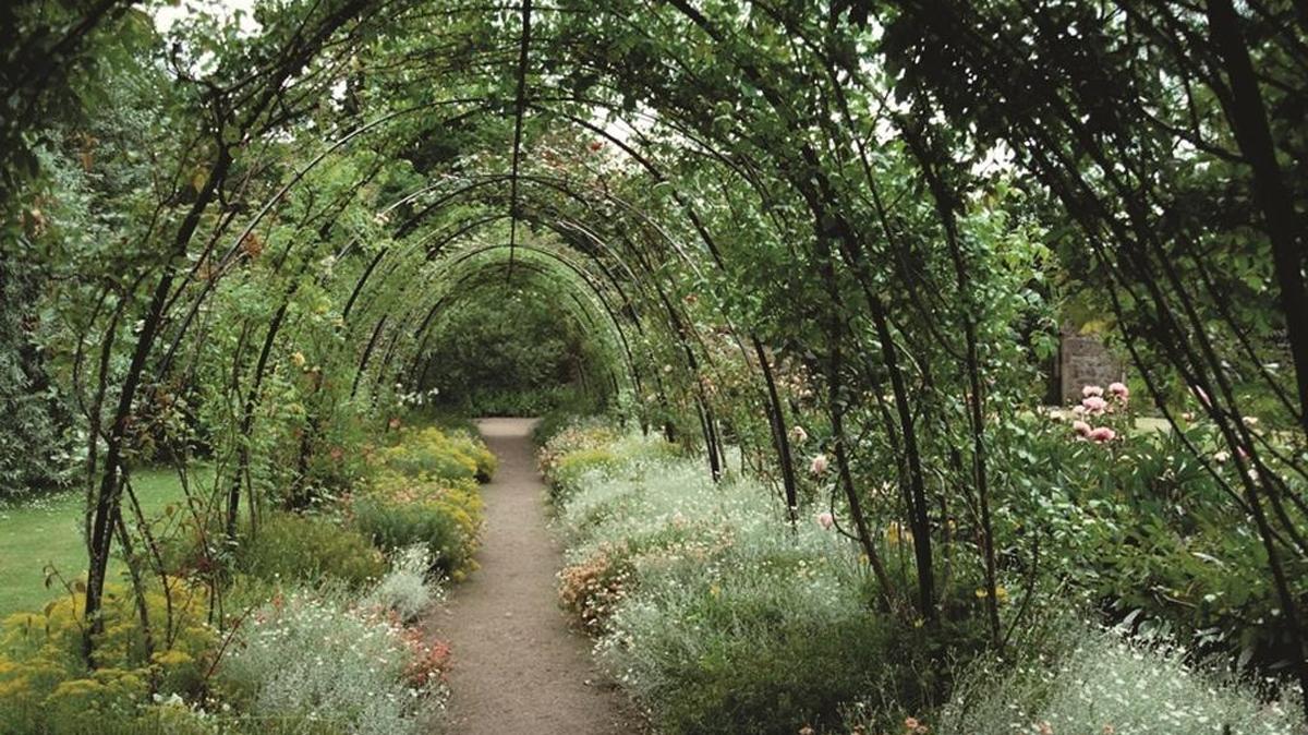 The Rose Arbor at Cawdor Castle outside Narin, Scotland. (Photos courtesy of Michael V. and Rose L. Bartlett.)