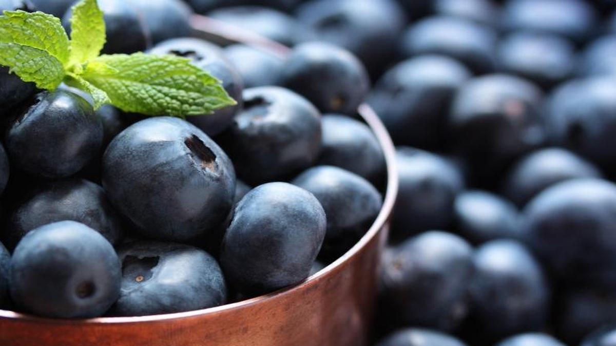 Blueberries have a high content of antioxidants known as flavonoids which help activate brain pathways.