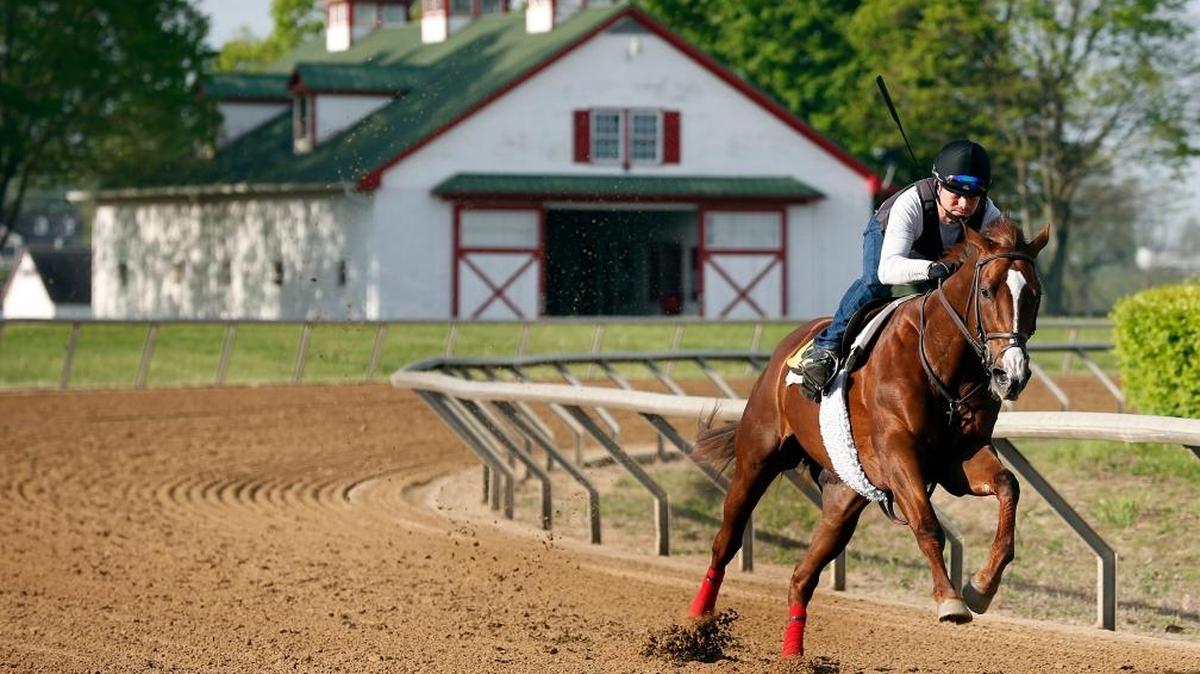 Lalo Zuela worked a horse on the training track at Calumet Farm in Lexington in the spring of 2017. Horse farms are one of the many reasons visitors enjoy coming to Central Kentucky, tourism officials say.