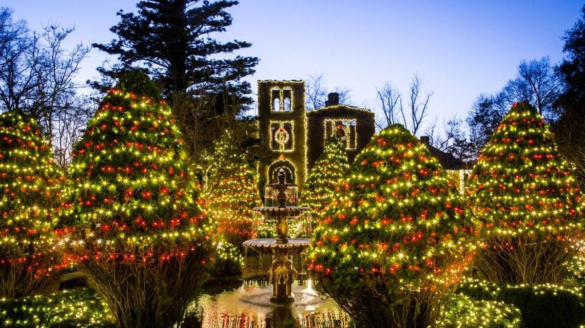 More than a million twinkling lights illuminate the Woodlands ruins, gardens and surrounding resort property.