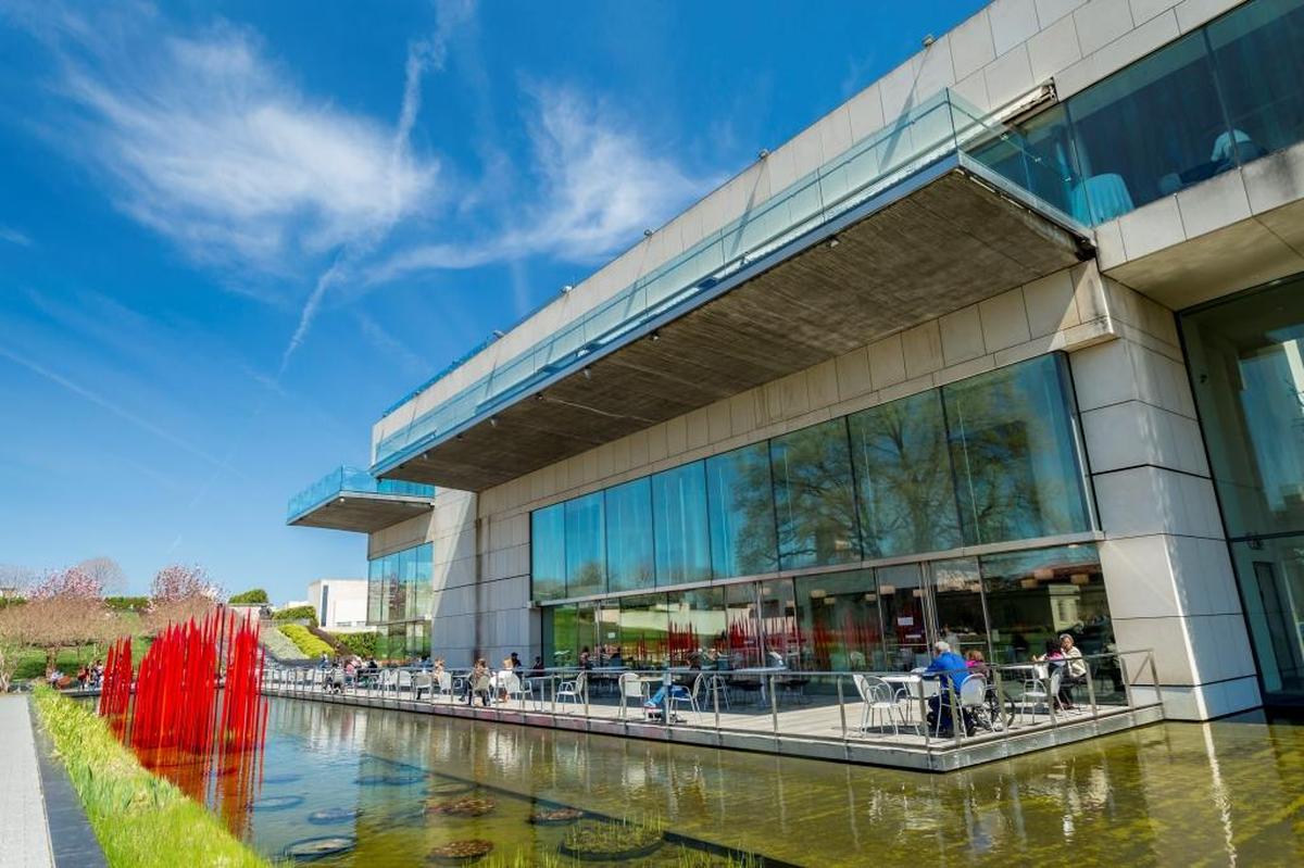 Dale Chihuly’s Red Reeds reside alongside the Virginia Museum of Fine Arts terrace.
