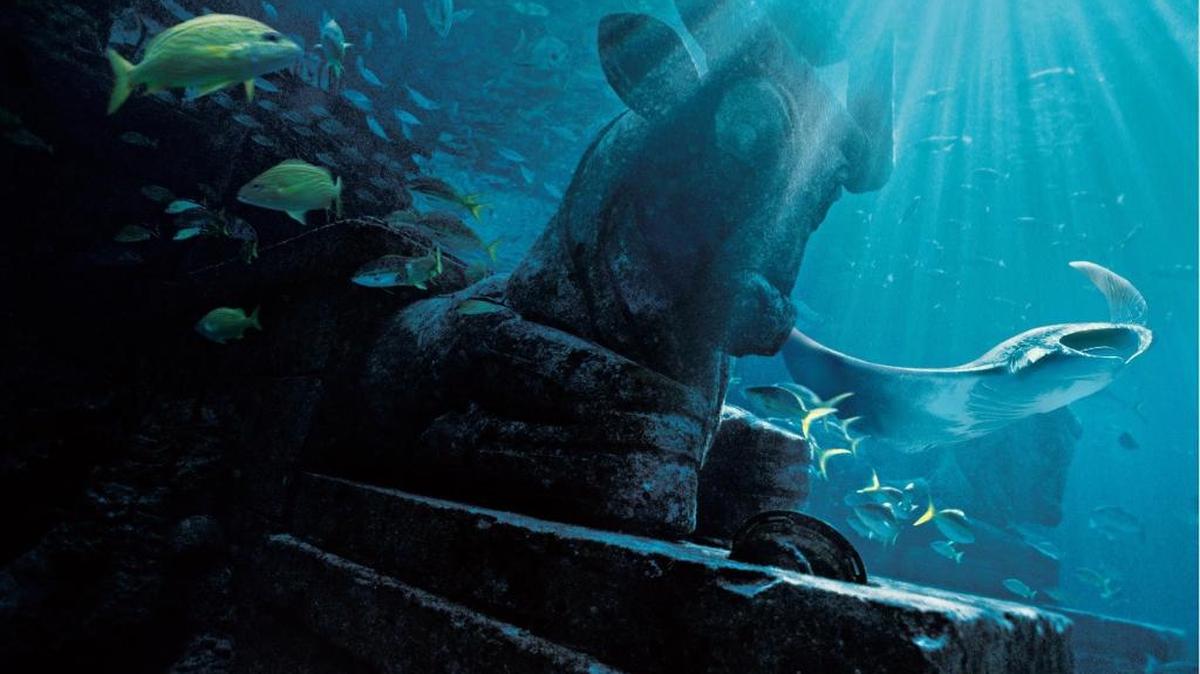 Located in the Royal Towers, and viewable from within The Dig or the lower level of the Great Hall of Waters, the Ruins Lagoon, filled with ancient Atlantis artifacts, is home to more than 20,000 deep-reef and pelagic fish — those that live in the water column.