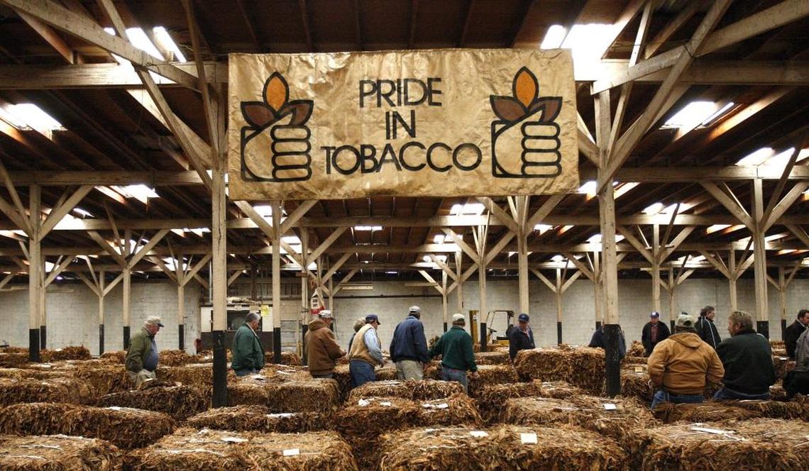 The buyers moved row-to-row buying tobacco on the opening day of the burley tobacco market in 2008 at the Clay Tobacco Warehouse in Mt. Sterling. Some agriculture watchers see hope for the future in hemp as U.S. Senate Majority Leader Mitch McConnell has promised to introduce legislation legalizing it.