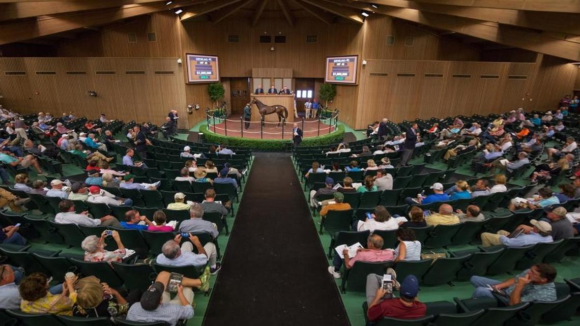 A Keeneland horse sale in Lexington, Ky. 