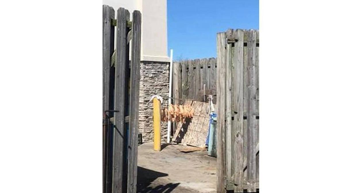 Panda Cuisine in Malabu Plaza at 2358 Nicholasville Road was cited by the Lexington health department after a passer-by snapped a photo of dead ducks hanging outside the restaurant.