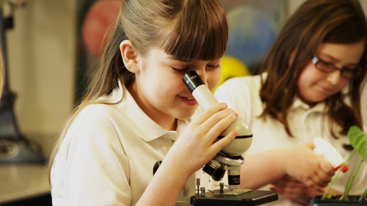 A student works at a science lab Alltech donated to St. Leo School in Versailles.