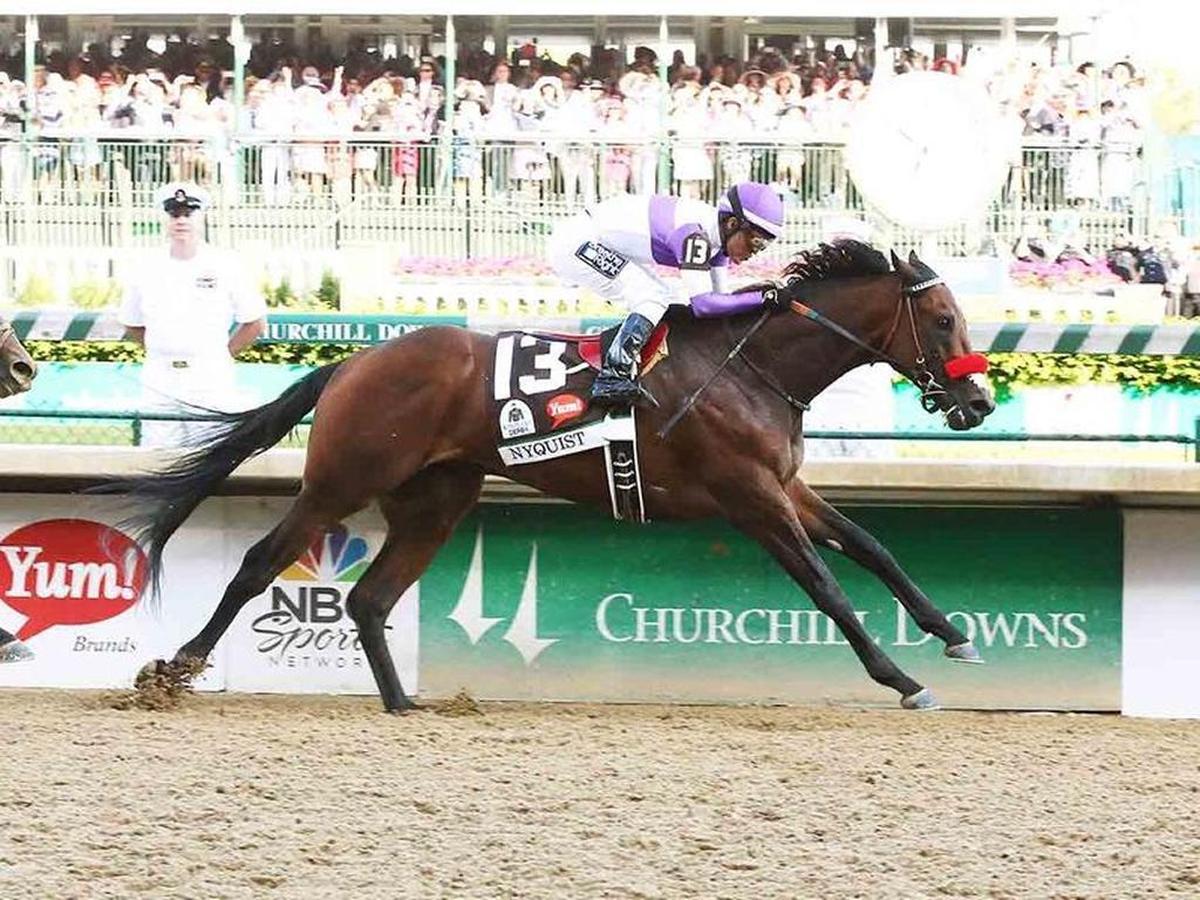 Nyquist winning the 2016 Kentucky Derby in front of a Yum sign at Churchill Downs in Louisville.