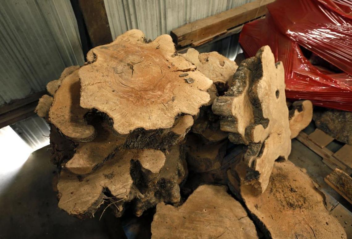 Slices of olive wood at Old World Timber, 1195 Versailles Rd. in Lexington.