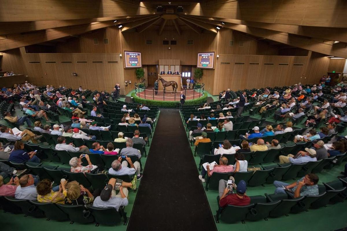 The Keeneland January 2021 Horses of All Ages Sale is part of a lawsuit pending in Fayette Circuit Court.