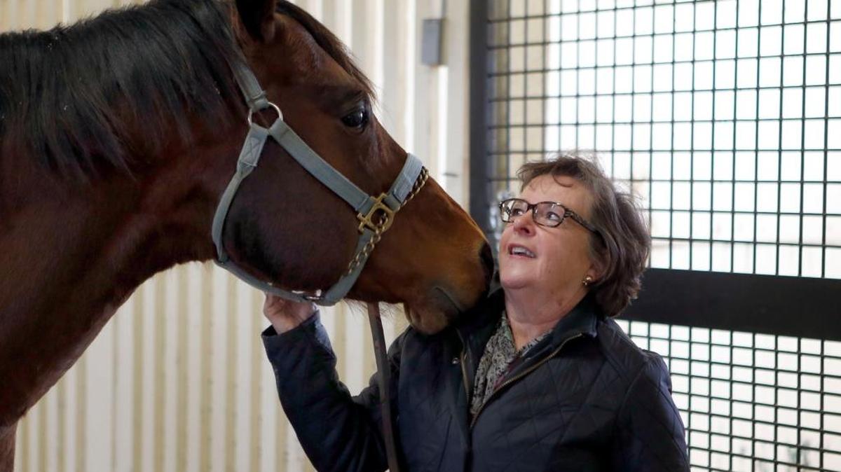 Nancy Cox, dean of UK College of Agriculture, Food and Environment, with one of the research horses at the University of Kentucky's equine research facility located on UK's North Farm off Iron Works Pike in early 2017.