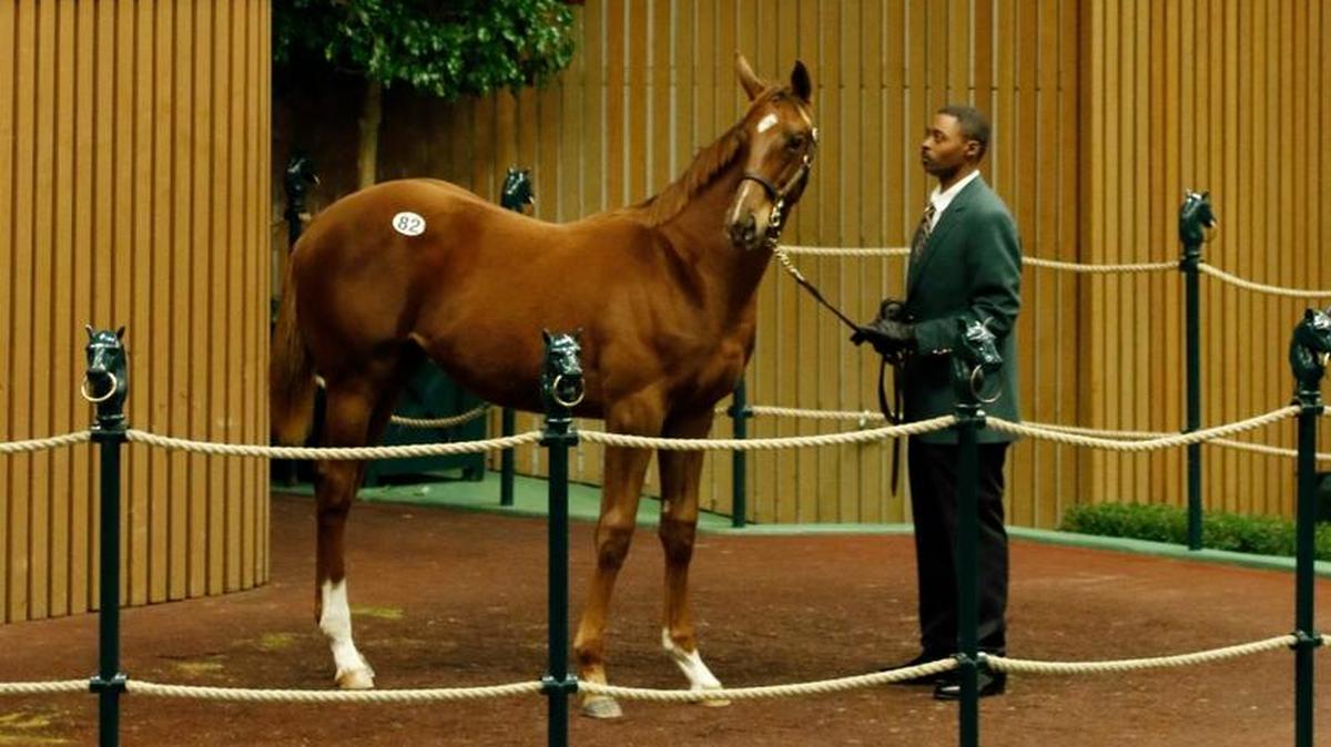 The sales of horses younger than 2 or for breeding purposes are exempt from the state’s 6% sales tax in Kentucky.