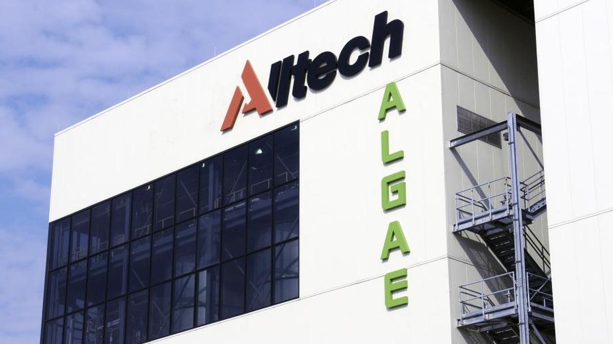 Alltech Algae is visible from Interstate 64 at Winchester. Alltech bought the facility from Martek Biosciences Corp. for $14 million and has invested more than $2 million in improvements.