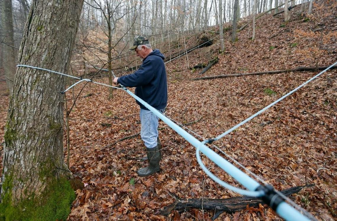 Keith Moore repaired a broken sap line in the woods near his Lawrence County Savage Farms. This farm has over 6 miles of tubing connecting more than 600 tapped maple trees.