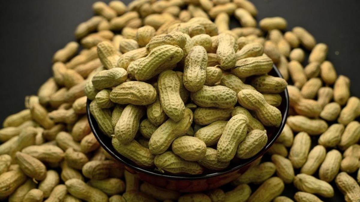 The number of American children with nut allergies has quadrupled in the past 13 years. New guidelines from the National Institutes of Health mark a shift in dietary advice, based on landmark research that found early exposure dramatically lowers a baby’s chances of becoming allergic.
