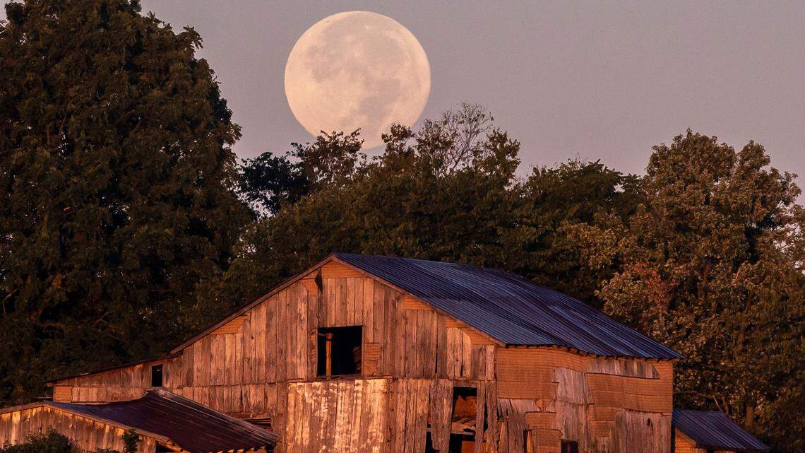 Fan-favorite meteor shower to peak over Pennsylvania this week, along with a cold moon