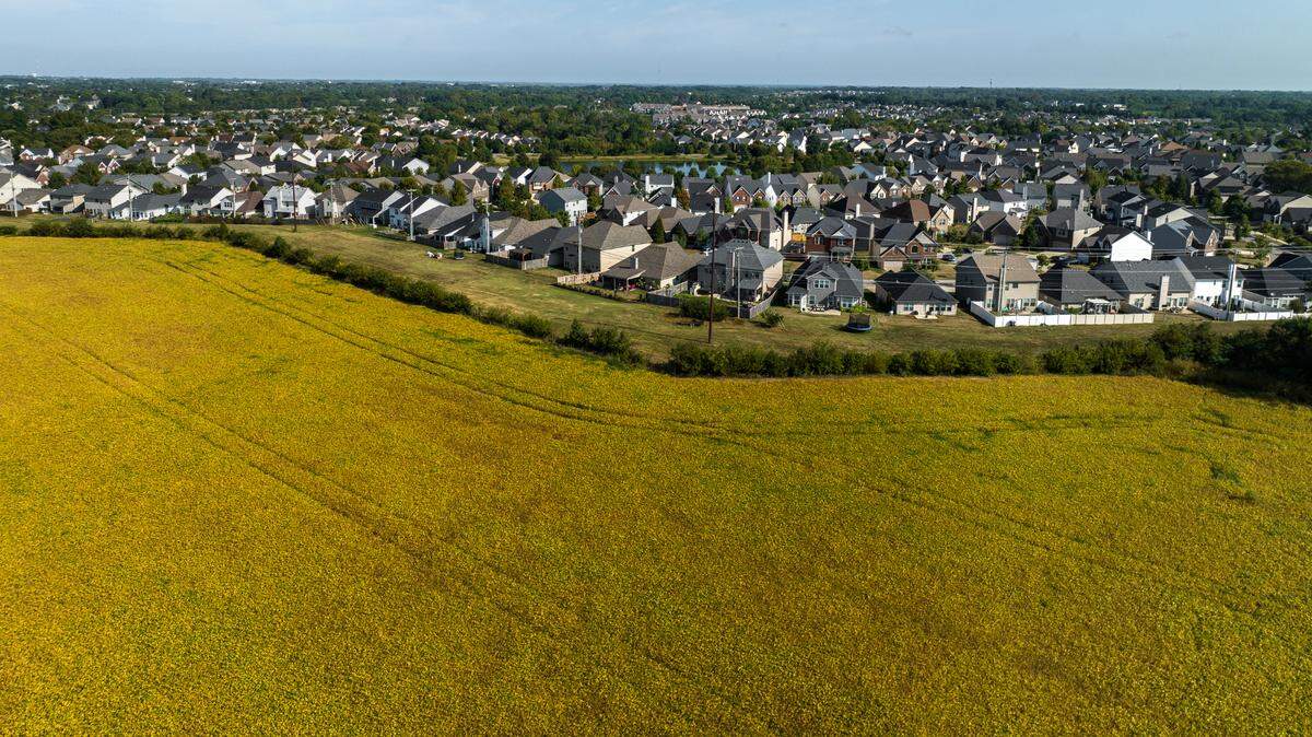 The Lexington-Fayette Urban County Council will consider a proposal this week to regularly evaluate the county’s urban service boundary for expansion.