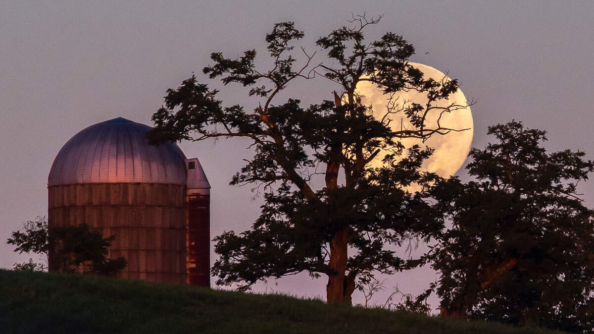 Here’s when the “strawberry moon” will peak over Lexington and how it got its name.
