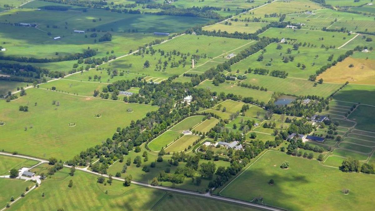 Aerial view of Castleton Lyons farm, 2469 Ironworks Pike, August 12, 2016. Ironworks Pike is seen running right to left near the bottom of the photo.