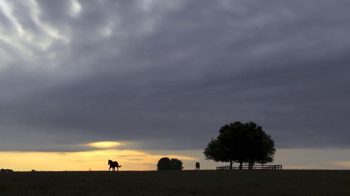 Vogue magazine has named Lexington a top travel destination in 2018.