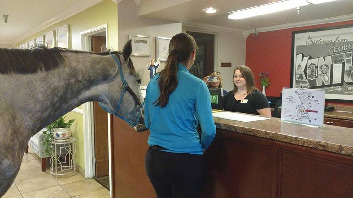Lindsey Partridge checked in at the Super 8 motel in Georgetown with her horse Blizz.