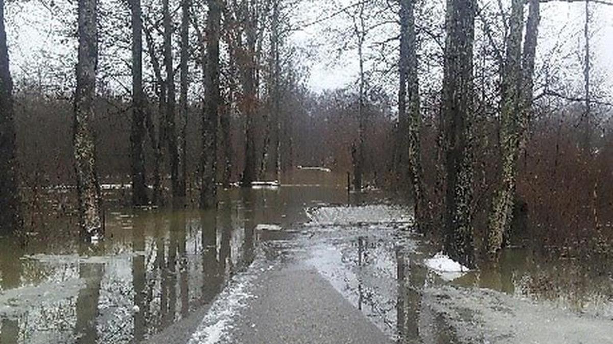 happy hollow road near lily