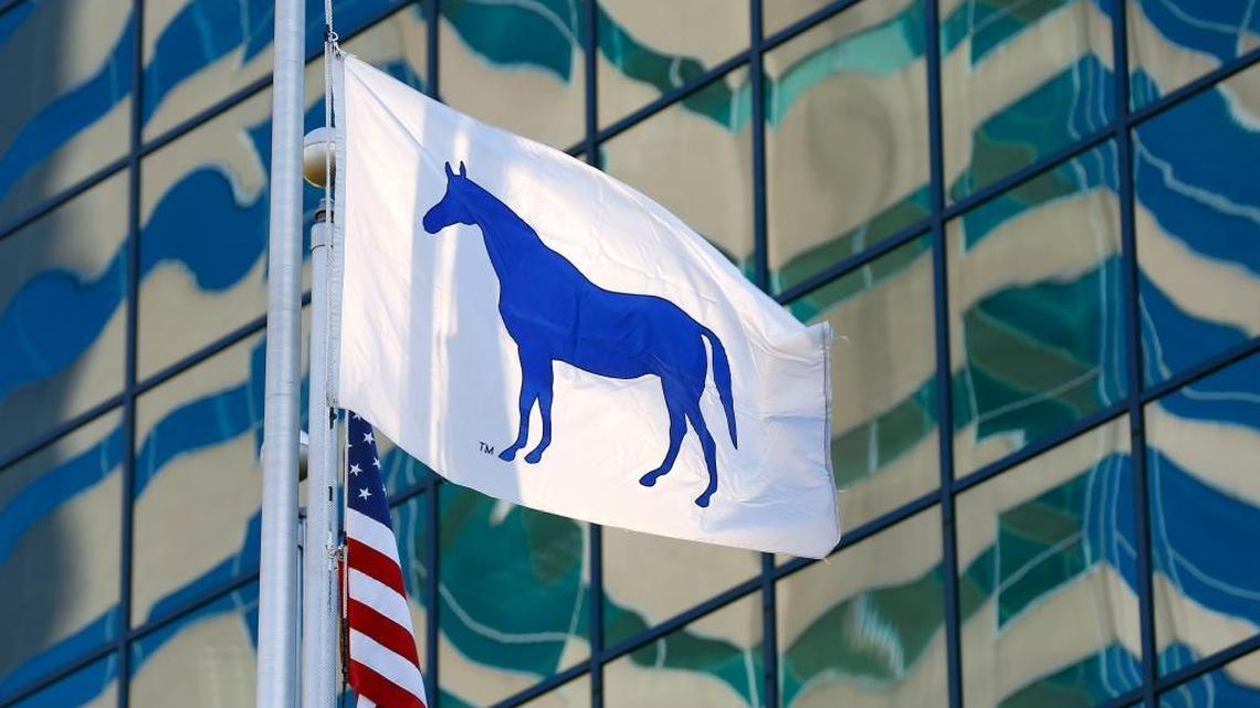 A blue horse on a white flag flying in front of the Fifth Third Bank building on West Vine Street in Lexington on March 9, 2017.