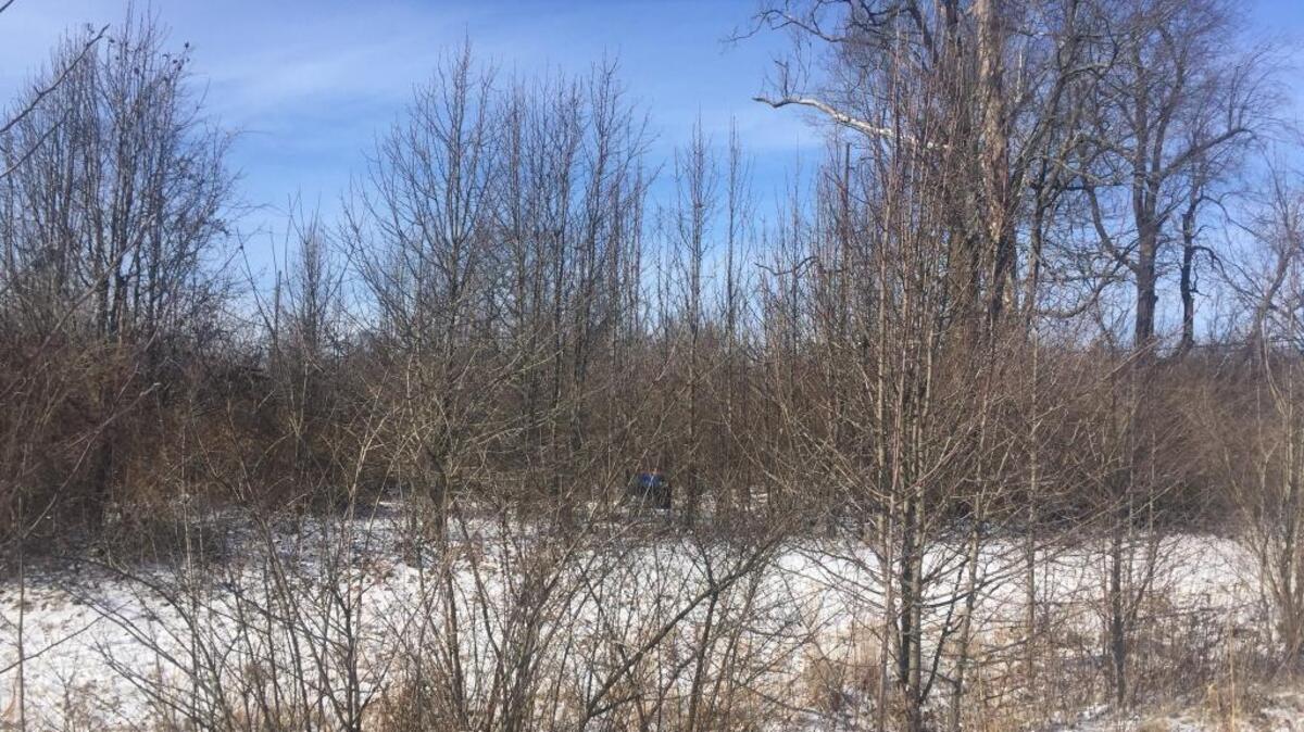 Lexington police conducted a death investigation Sunday afternoon after a homeless woman was found dead.