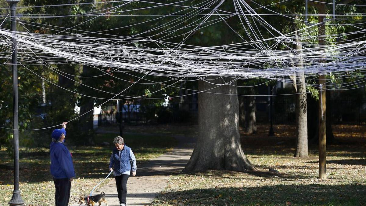 Hannah Platt, left, and Tricia Shaw, with Bosco, her rescue Jack Russell Terrier mix, walked Friday under a giant spider web made with yarn in Woodland Park in Lexington. A spokesperson for the City’s Parks and Recreation said they don’t know who created the web, but it wasn’t causing a problem and people seem to be enjoying it, so they decided to leave it in place until after Halloween. Platt and Shaw, who often walk through the city’s parks, were pleasantly surprised by the web.