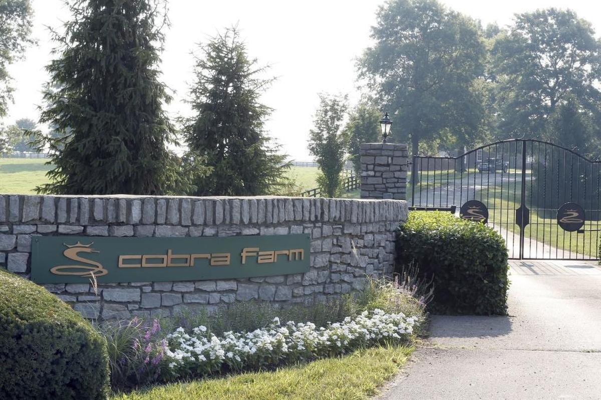 The main entrance to Cobra Farm, 3030 Newtown Pike in Lexington, Ky., Wednesday, July 19 2017.