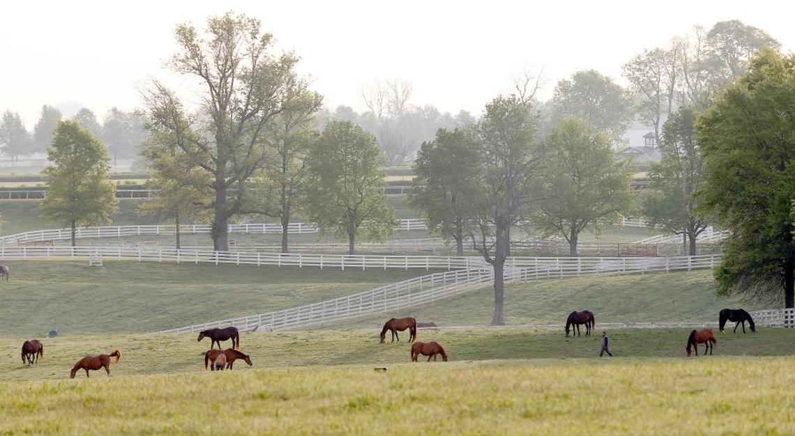 Kentucky's rolling hills and horses, such as Calumet Farm in Lexington, apparently wowed the "Top Chef" producers looking for scenic backdrops for the show.