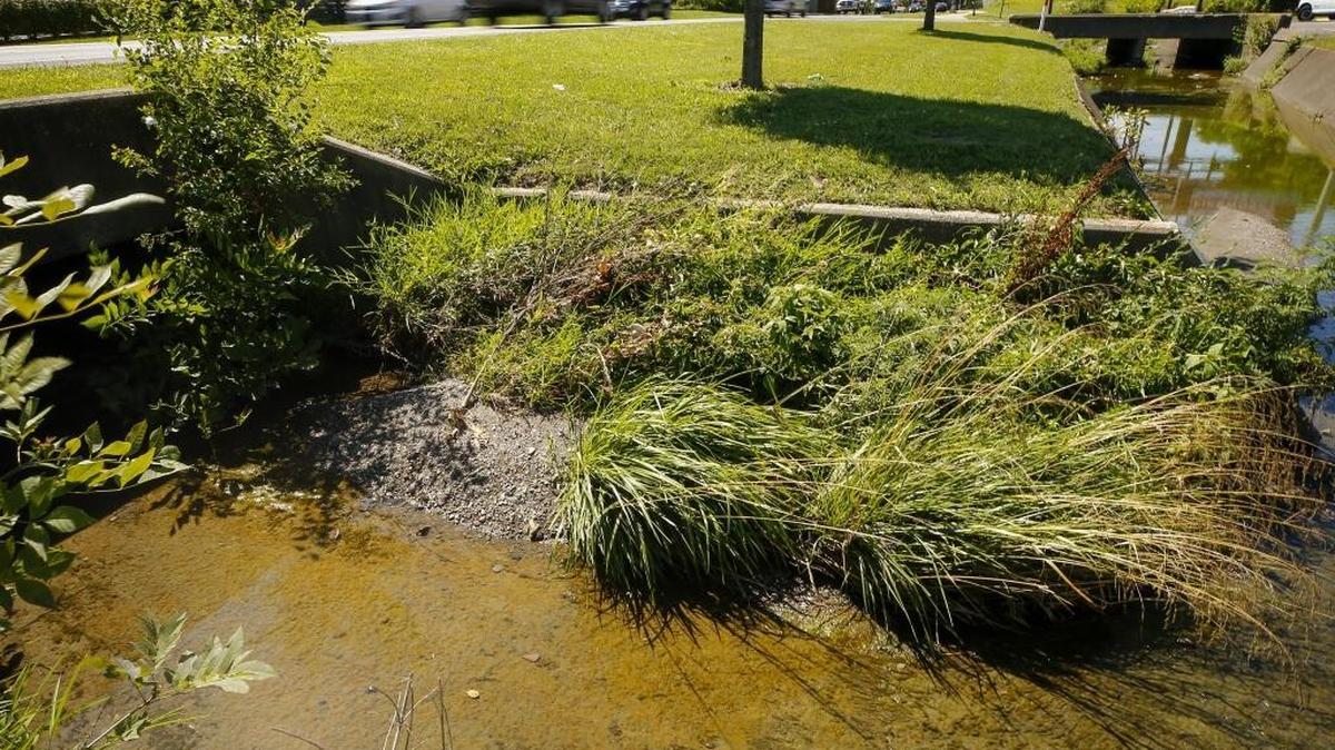 This drainage ditch runs along Southland Drive. The city of Lexington has issued a violation to Norfolk Southern Railroad for allowing mud and sediment to enter its stormwater system.
