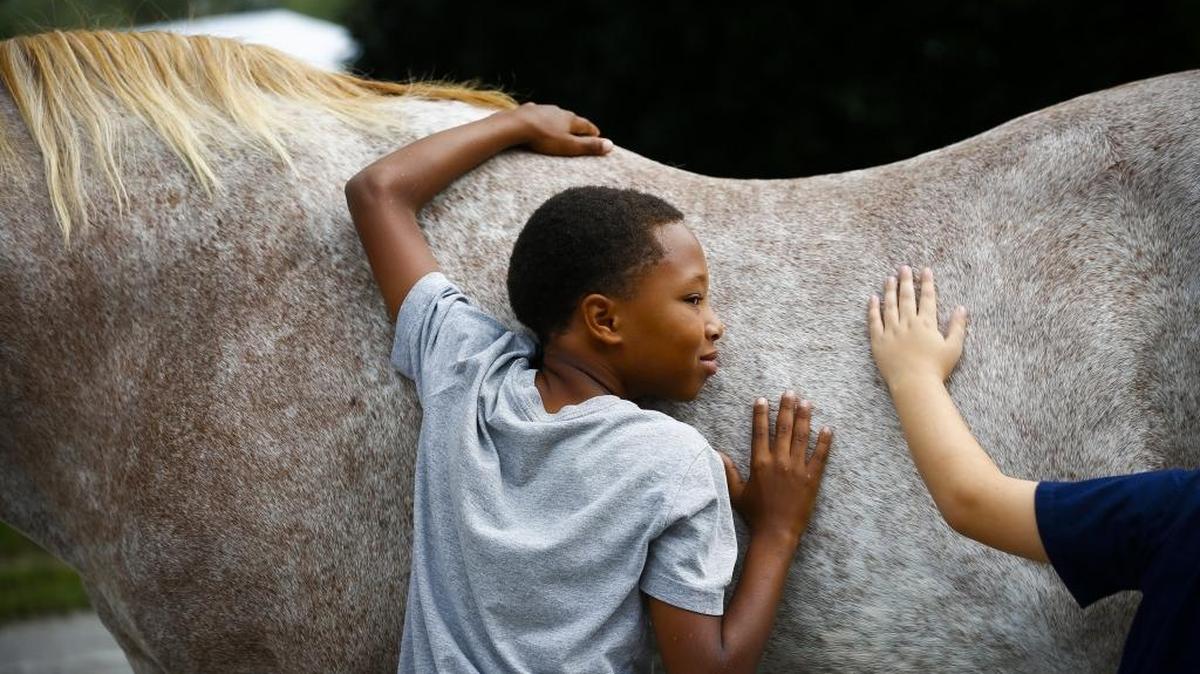 Monte Ashford, 10, of Lexington, a student at Athens-Chilesburg Elementary School, hugged Rosie, a 12-year-old mare, during a field trip to Keeneland on Thursday. About 2,900 fifth-graders from 31 area schools will visit Keeneland this week to learn about the Thoroughbred industry in Kentucky.