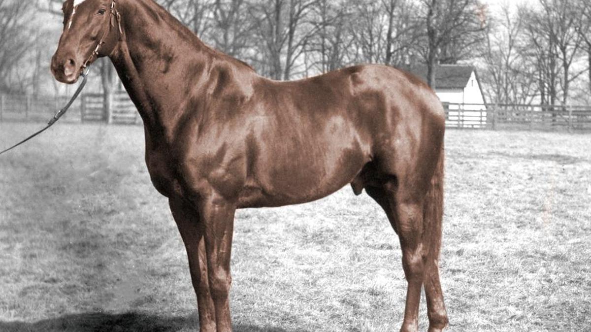 Horse owners are challenged to submit photos of their horse recreating this famous shot of Man o’ War.