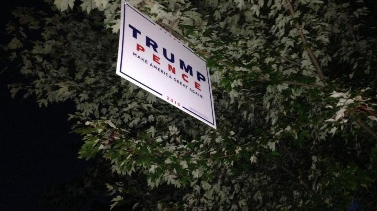 One resident in the Gardenside community has placed his Trump sign in a tree in his front yard to discourage thieves and vandals.
