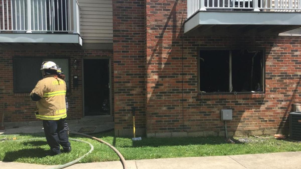 Fire damaged a first-floor unit at Patchen Place Apartments on Monday in Lexington. Firefighters were unsuccessful in their attempts to revive a cat in the apartment.
