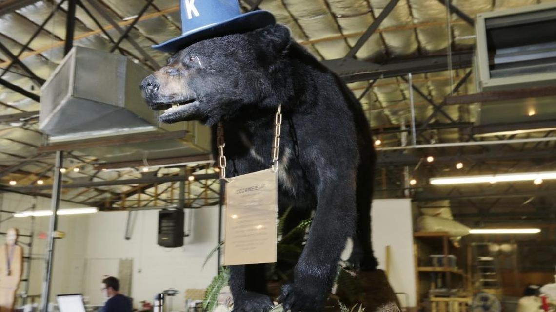 The legend of Cocaine Bear begins with a Lexington cop turned drug smuggler