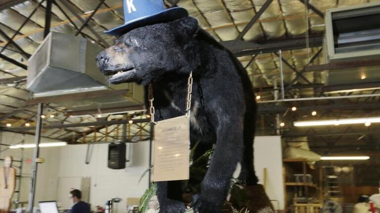 The legend of Cocaine Bear begins with a Lexington cop turned drug smuggler
