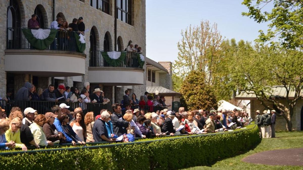 Standing along the railing and viewing horses in the paddock is a popular spot during Keeneland’s Spring meet.