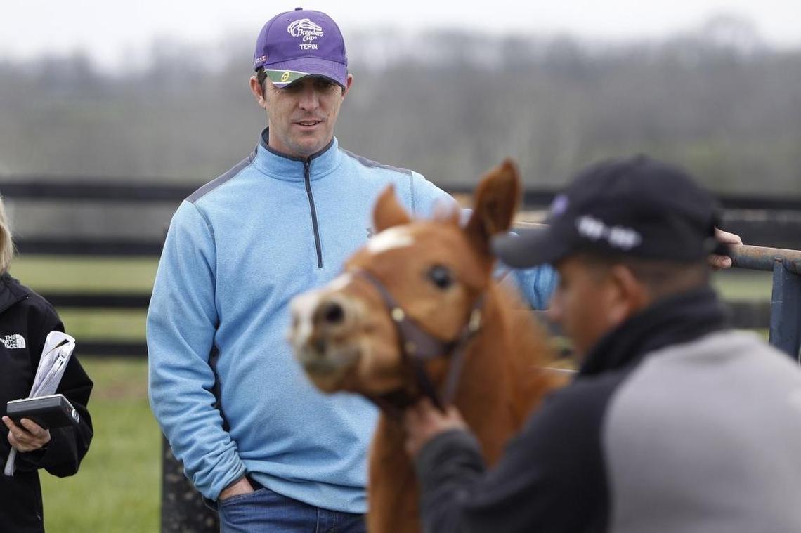 Craig Brogden, who owns the farm with wife Carrie, watched as farm manager Luis Coronado led the foal to his paddock at Machmer Hall farm in Paris. This foal, a colt by Kentucky Derby winner Animal Kingdom, was rejected by his mother at birth, but soon found a new mom in Maizelle, a mare who lost her baby during foaling days before his birth.