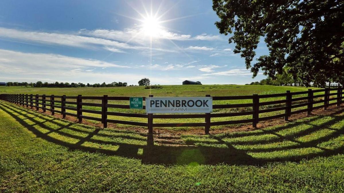 Farm at 6284 Russell Cave Rd. in Lexington, Ky., Monday, August 15, 2016. Six current and former members of the Rural Land Management Board, which oversees the purchase of development rights program, have received money from the program.
