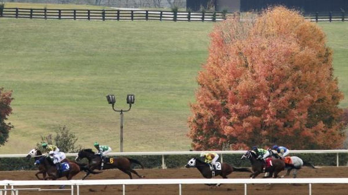 Keeneland’s Fall Meet begins Friday.