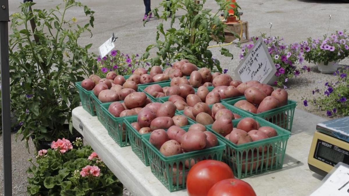 The Lexington Health Department will host farmers markets at two locations in June and July.