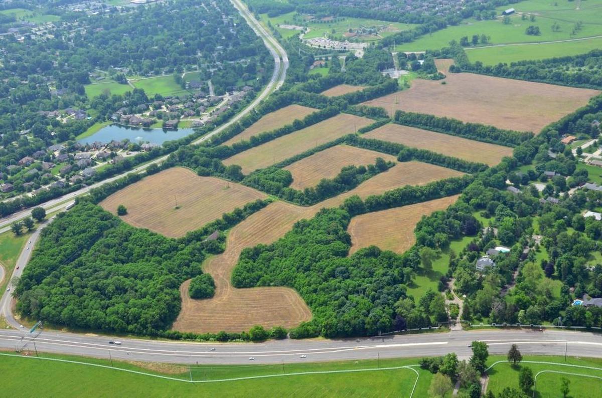 The city has hired a design firm to begin work on Cardinal Run North, a more than 137-acre park off of Versailles Road and Parkers Mill Road.