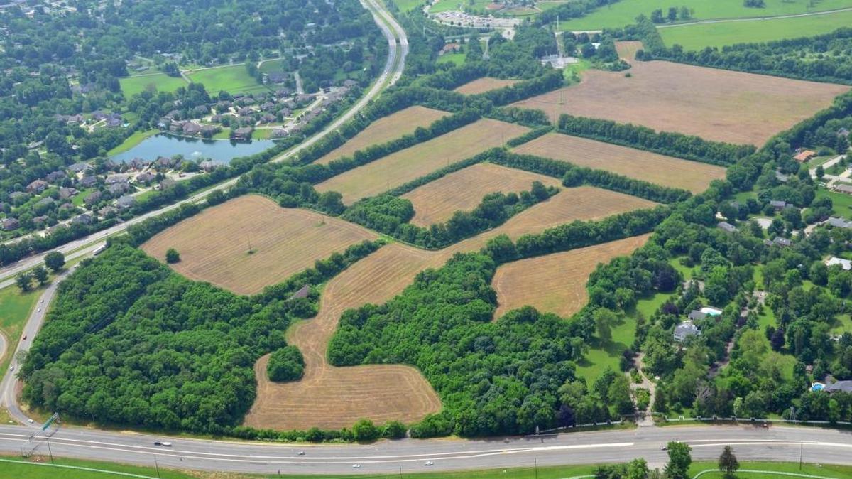 The city has hired a design firm to begin work on Cardinal Run North, a more than 137-acre park off of Versailles Road and Parkers Mill Road.