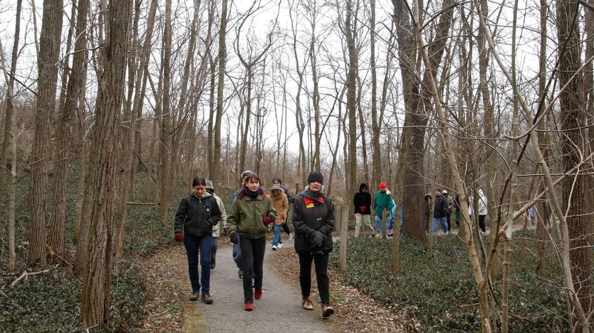New Years Day hike at McConnell Springs in Lexington, Jan. 1, 2015. McConnell Springs is the site where Lexington was founded.