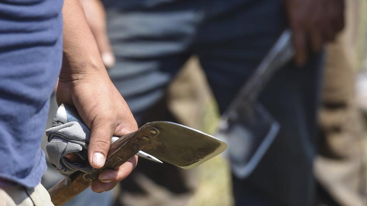 The competitors got ready with their tobacco hatchets Thursday during the Garrard County Tobacco Cutting Contest on a farm owned by Jared Ayres near Lancaster.